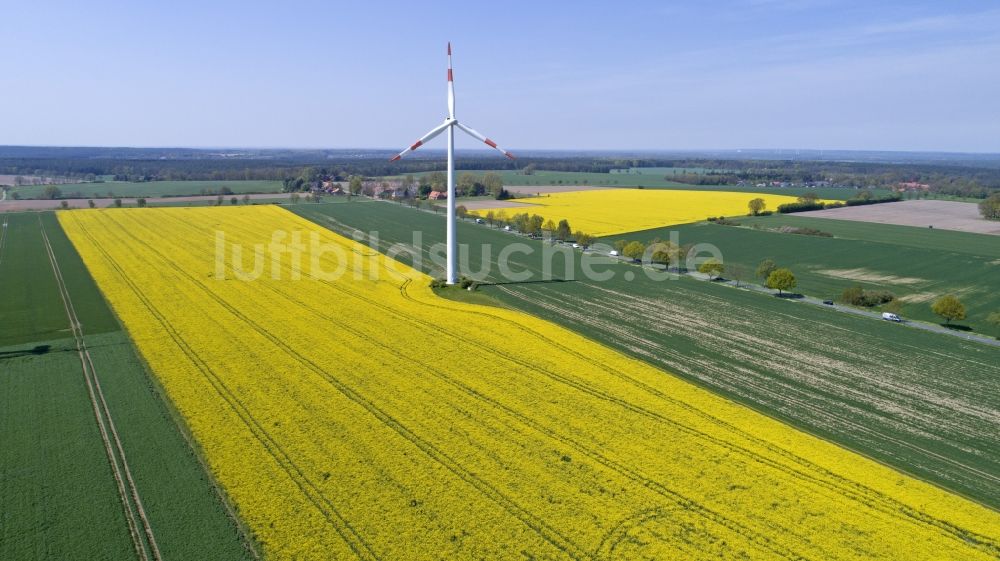 Luftaufnahme Reinstorf - Windenergieanlage (WEA) - Windrad- auf einem Rapsfeld in Sülbeck im Bundesland Niedersachsen