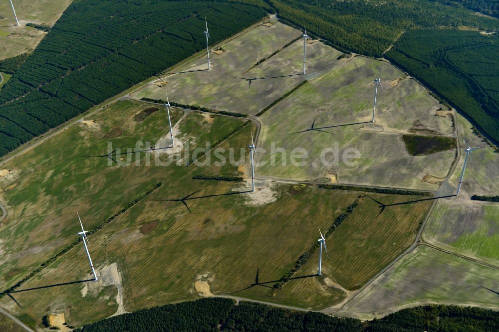 Schipkau aus der Vogelperspektive: Windenergieanlagen (WEA) auf einem Feld bei Schipkau im Bundesland Brandenburg, Deutschland