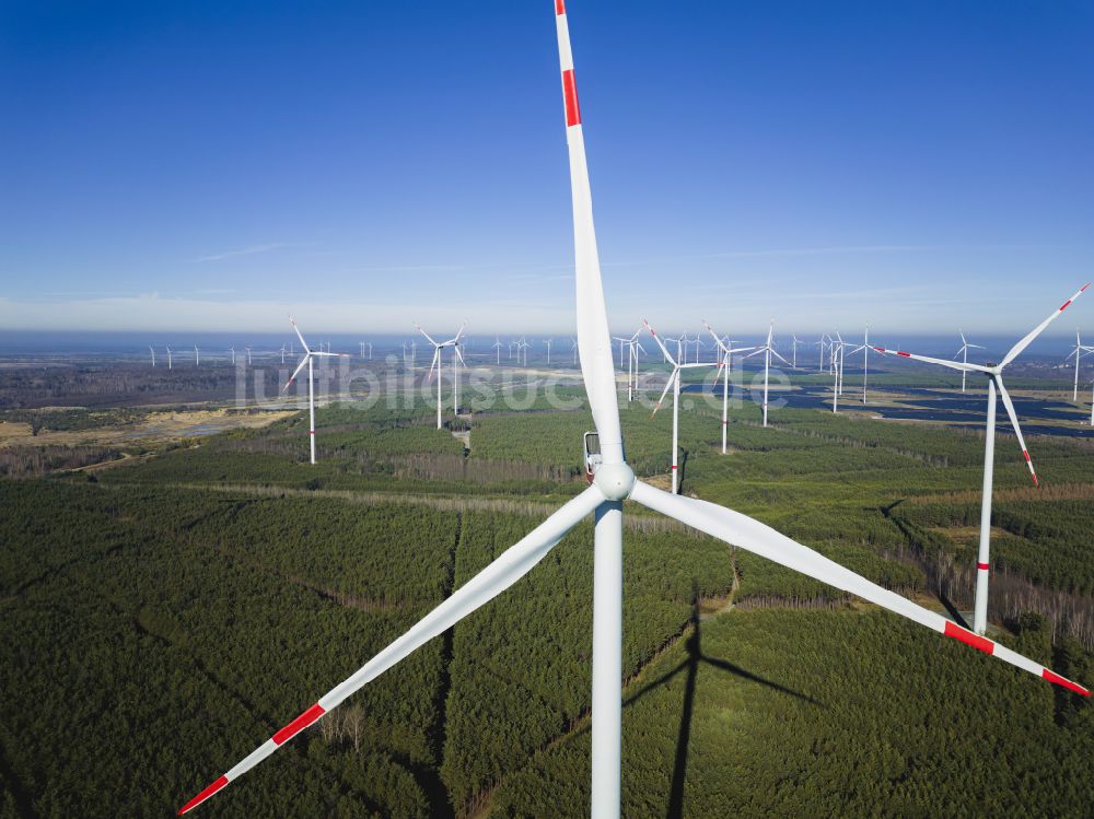 Luftbild Schipkau - Windenergieanlagen (WEA) auf einem Feld bei Schipkau im Bundesland Brandenburg, Deutschland