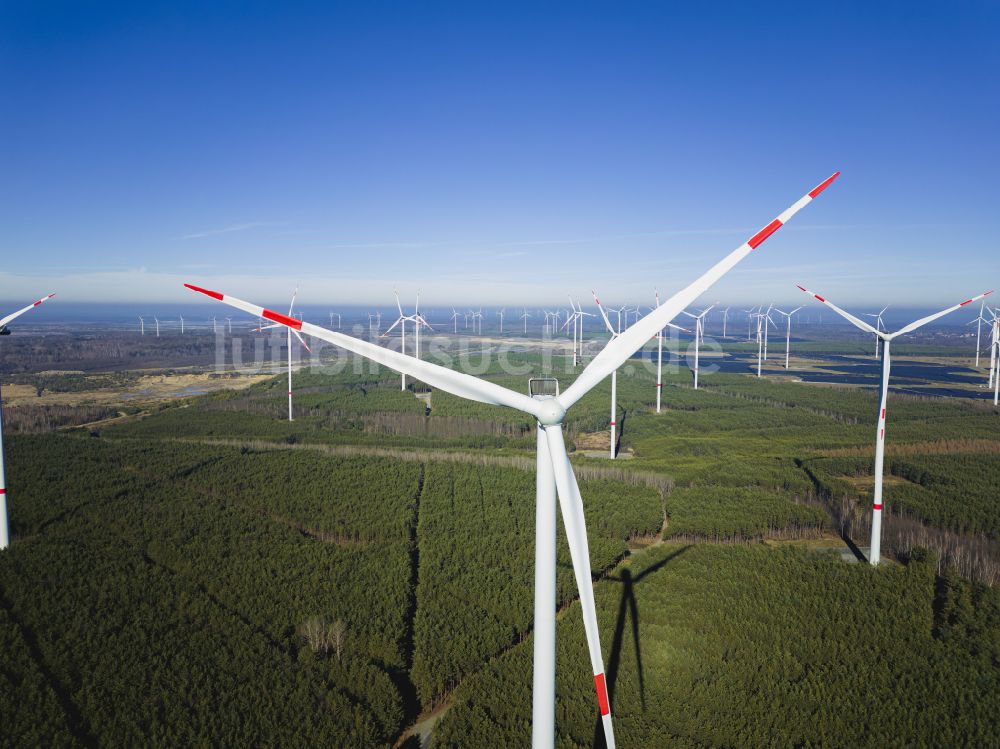 Luftaufnahme Schipkau - Windenergieanlagen (WEA) auf einem Feld bei Schipkau im Bundesland Brandenburg, Deutschland