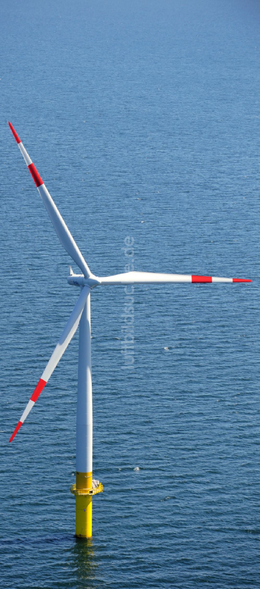 Zingst aus der Vogelperspektive: Windenergieanlagen (WEA) des Offshore-Windpark EnBW Baltic 1 auf der Wasseroberfläche der Ostsee in Zingst im Bundesland Mecklenburg-Vorpommern, Deutschland