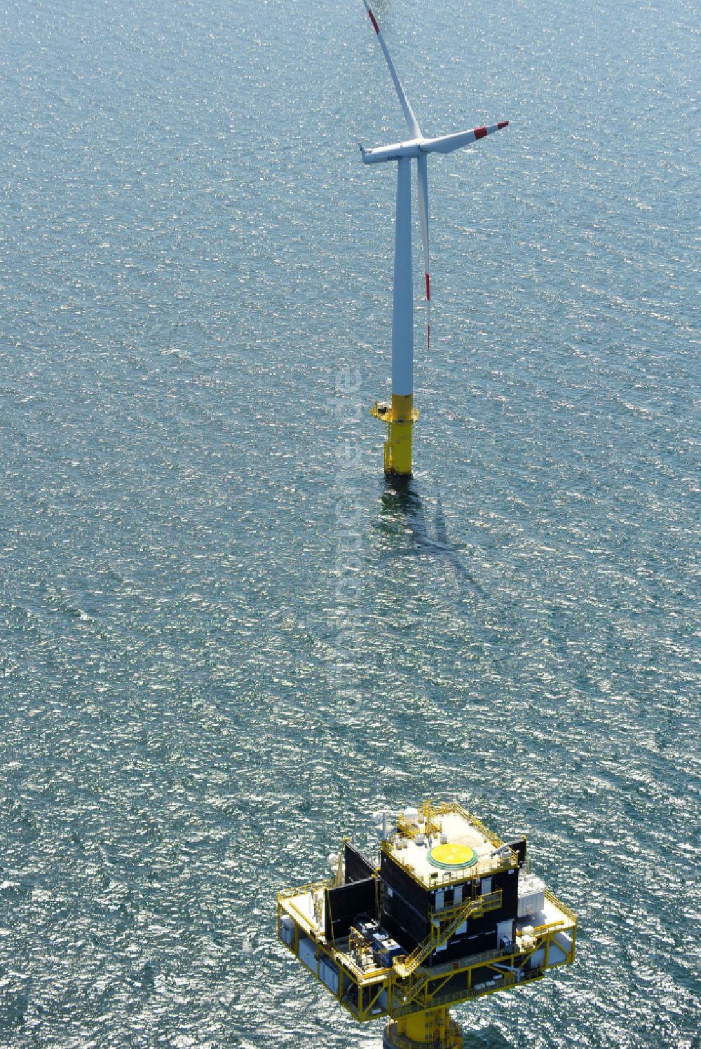 Luftbild Zingst - Windenergieanlagen (WEA) des Offshore-Windpark EnBW Baltic 1 auf der Wasseroberfläche der Ostsee in Zingst im Bundesland Mecklenburg-Vorpommern, Deutschland