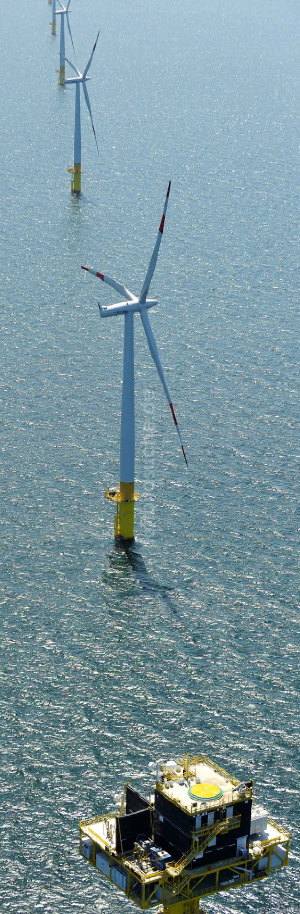 Luftaufnahme Zingst - Windenergieanlagen (WEA) des Offshore-Windpark EnBW Baltic 1 auf der Wasseroberfläche der Ostsee in Zingst im Bundesland Mecklenburg-Vorpommern, Deutschland