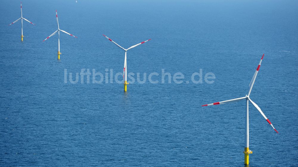 Luftaufnahme Zingst - Windenergieanlagen (WEA) des Offshore-Windpark EnBW Baltic 1 auf der Wasseroberfläche der Ostsee in Zingst im Bundesland Mecklenburg-Vorpommern, Deutschland