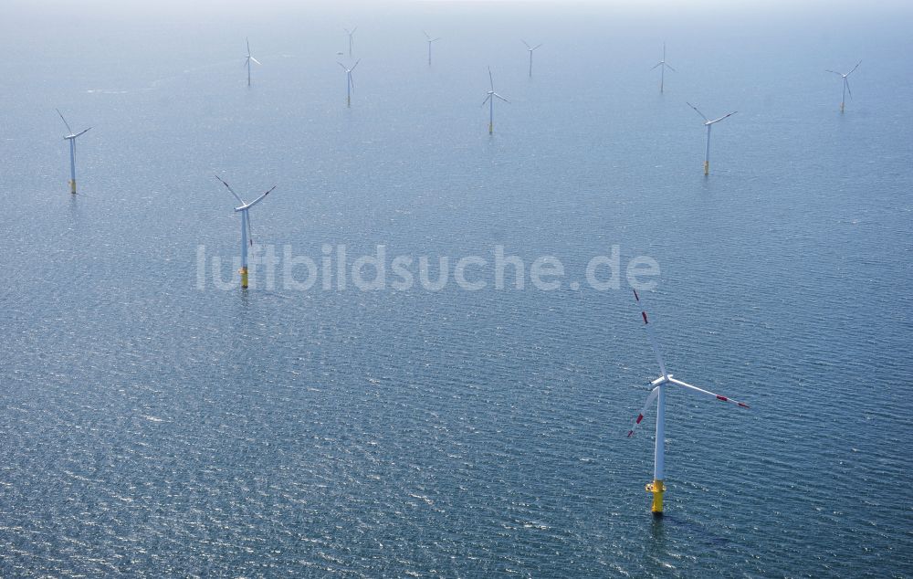 Zingst von oben - Windenergieanlagen (WEA) des Offshore-Windpark EnBW Baltic 1 auf der Wasseroberfläche der Ostsee in Zingst im Bundesland Mecklenburg-Vorpommern, Deutschland