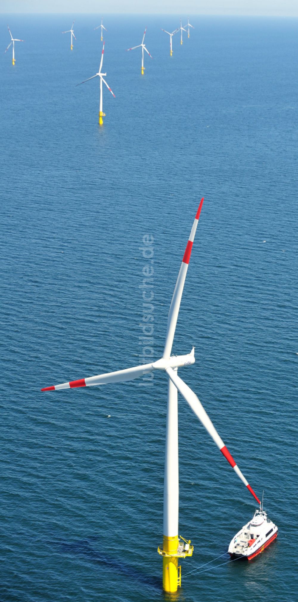 Luftaufnahme Zingst - Windenergieanlagen (WEA) des Offshore-Windpark EnBW Baltic 1 auf der Wasseroberfläche der Ostsee in Zingst im Bundesland Mecklenburg-Vorpommern, Deutschland