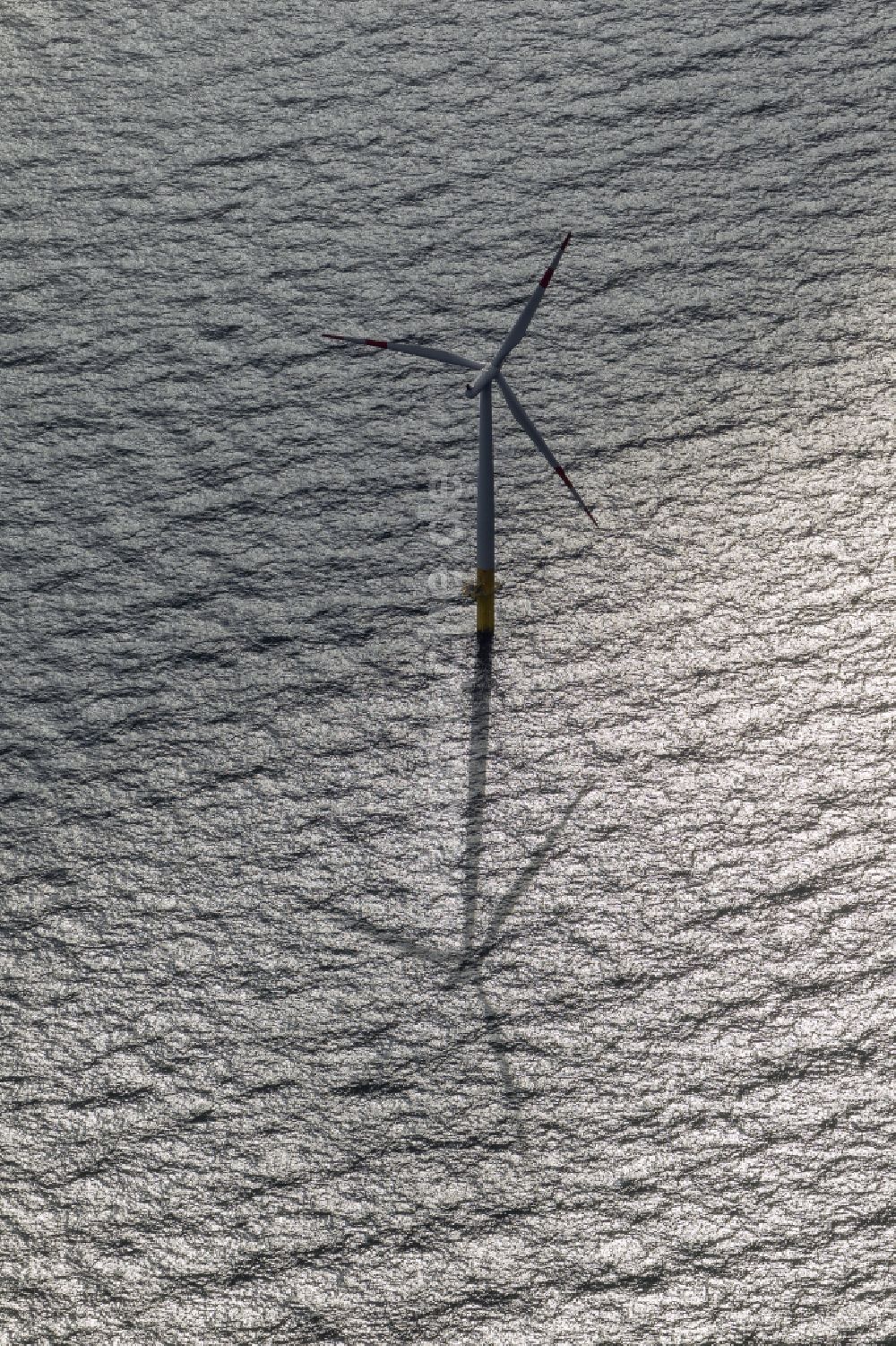 Zingst aus der Vogelperspektive: Windenergieanlagen (WEA) des Offshore-Windpark EnBW Baltic 1 auf der Wasseroberfläche der Ostsee in Zingst im Bundesland Mecklenburg-Vorpommern, Deutschland