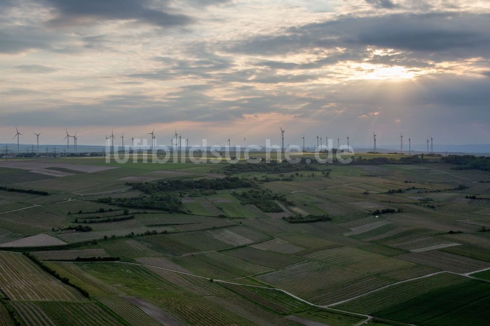 Luftaufnahme Gau-Odernheim - Windenergieanlagen (WEA) - Windpark auf einem Hügel in Gau-Odernheim im Bundesland Rheinland-Pfalz