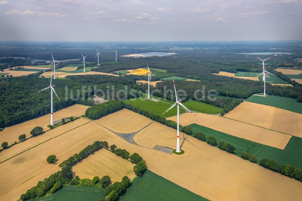 Haltern am See aus der Vogelperspektive: Windenergieanlagen (WEA) - Windrad- auf einem Feld in Haltern am See im Bundesland Nordrhein-Westfalen, Deutschland