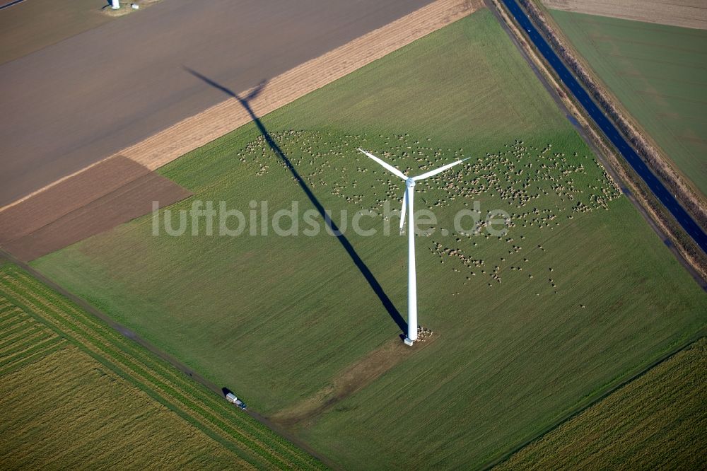 Luftbild Baesweiler - Windenergieanlagen (WEA) - Windrad- auf einem Feld im Ortsteil Übach in Baesweiler im Bundesland Nordrhein-Westfalen