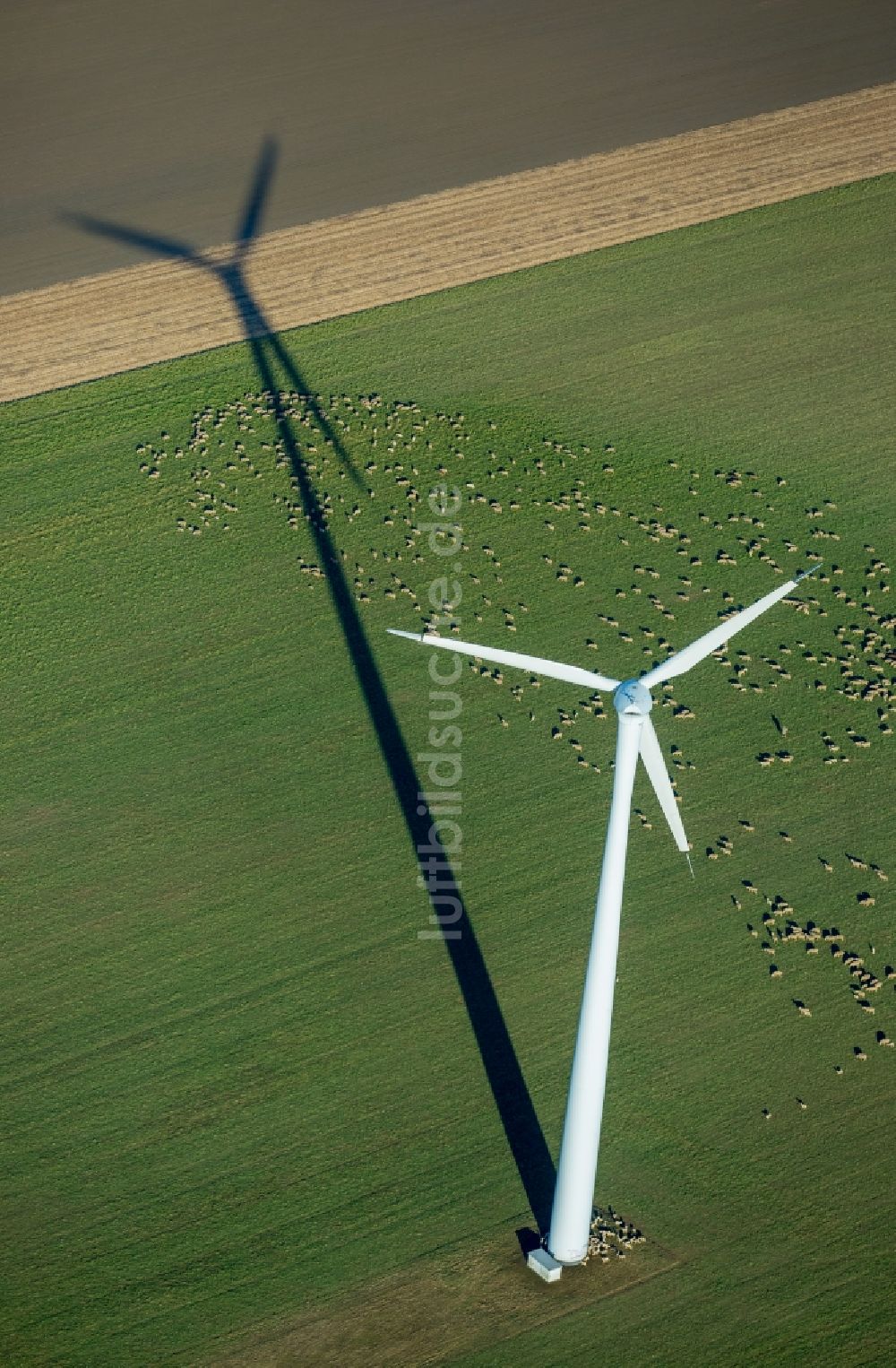 Luftaufnahme Baesweiler - Windenergieanlagen (WEA) - Windrad- auf einem Feld im Ortsteil Übach in Baesweiler im Bundesland Nordrhein-Westfalen