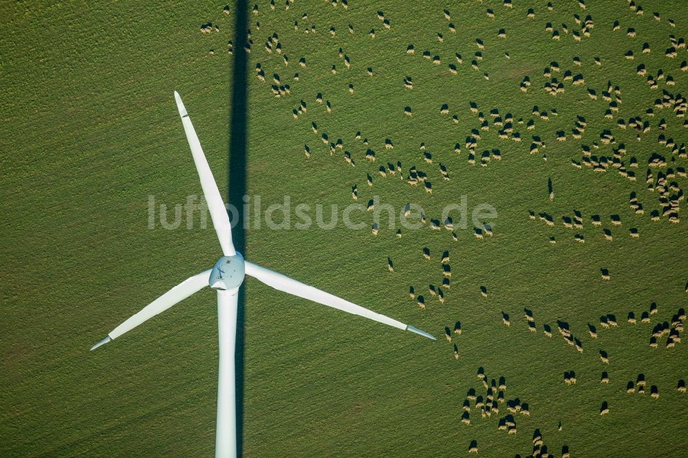 Luftbild Baesweiler - Windenergieanlagen (WEA) - Windrad- auf einem Feld im Ortsteil Übach in Baesweiler im Bundesland Nordrhein-Westfalen