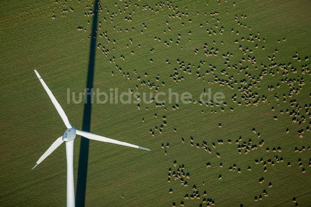 Luftaufnahme Baesweiler - Windenergieanlagen (WEA) - Windrad- auf einem Feld im Ortsteil Übach in Baesweiler im Bundesland Nordrhein-Westfalen