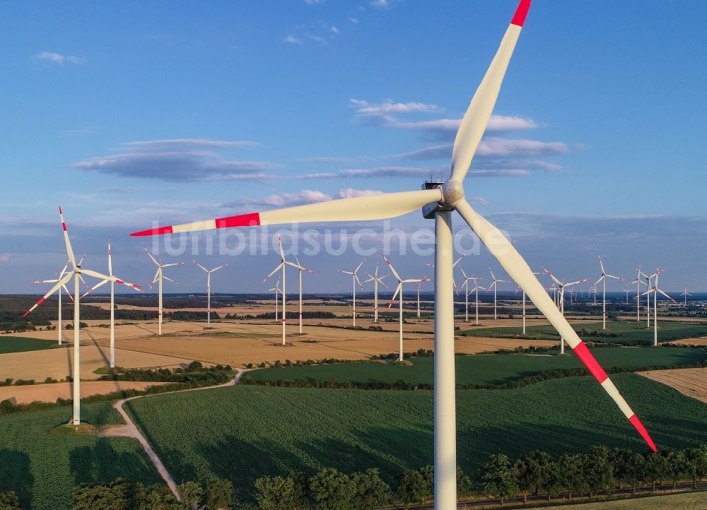 Sieversdorf von oben - Windenergieanlagen (WEA) - Windrad- auf einem Feld in Sieversdorf im Bundesland Brandenburg, Deutschland