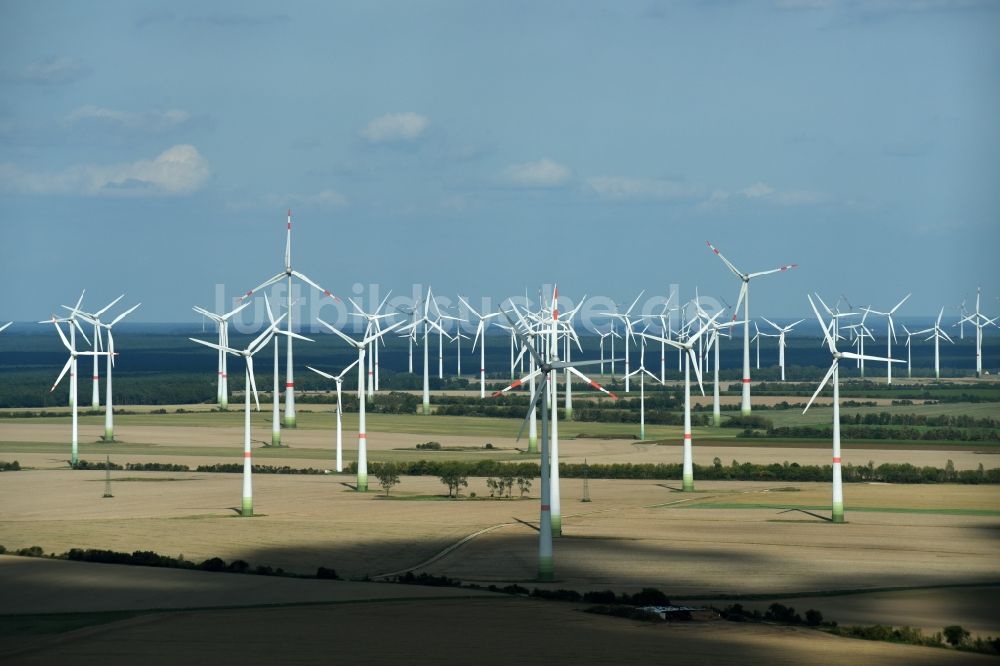 Treuenbrietzen von oben - Windenergieanlagen (WEA) - Windrad- auf einem Feld in Treuenbrietzen im Bundesland Brandenburg