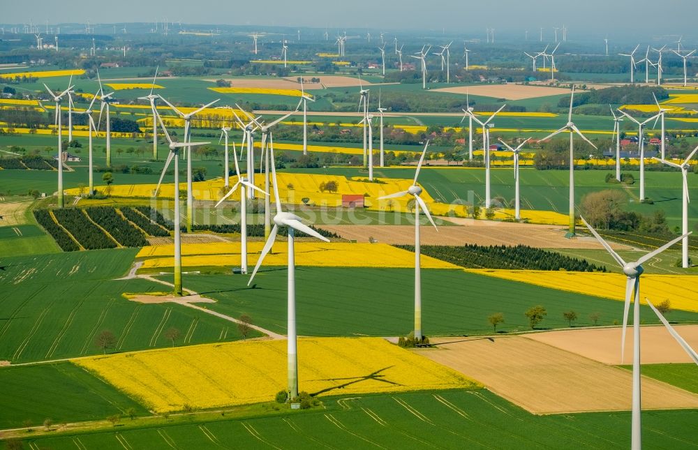 Luftbild Rüthen - Windenergieanlagen (WEA) - Windrad- auf einem gelben Raps- Feld in Rüthen im Bundesland Nordrhein-Westfalen, Deutschland