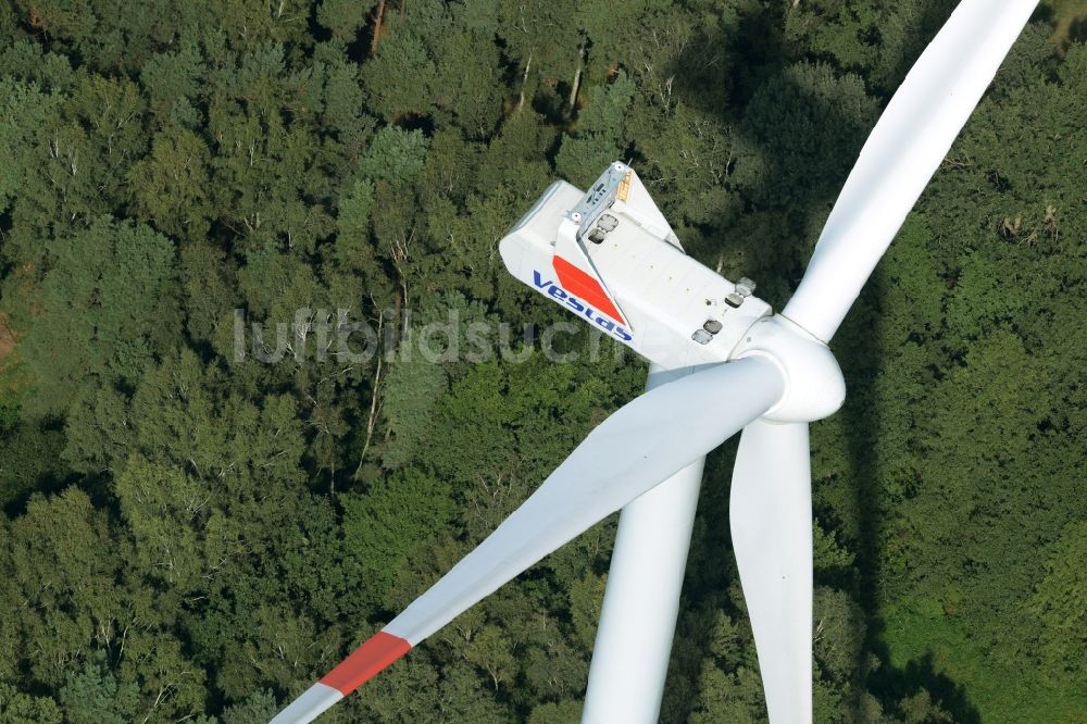 Luftbild Sallgast - Windkraftanlage der Firma Vestas Wind Systems am Rande des Wald- Windparks Göllnitz-Lieskau-Rehain in Sallgast im Bundesland Brandenburg