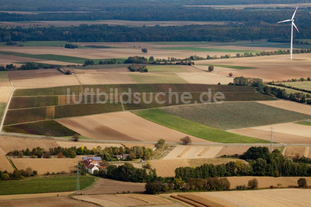 Minfeld von oben - Windkraftanlage am Gehöft der Altmühle am Rand von bestellten Feldern in Minfeld im Bundesland Rheinland-Pfalz