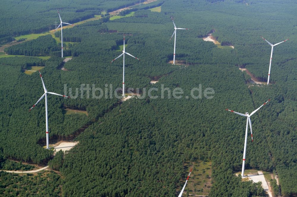 Sallgast von oben - Windkraftanlagen des Wald- Windparks Göllnitz-Lieskau-Rehain in Sallgast im Bundesland Brandenburg