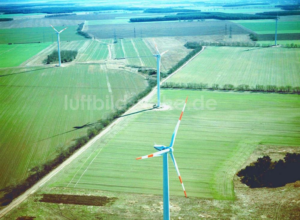 Luftbild Duben / Brandenburg - Windkraftpark Dubener Platte bei Duben in Brandenburg mit 19 Anlagen vom Typ MD 77