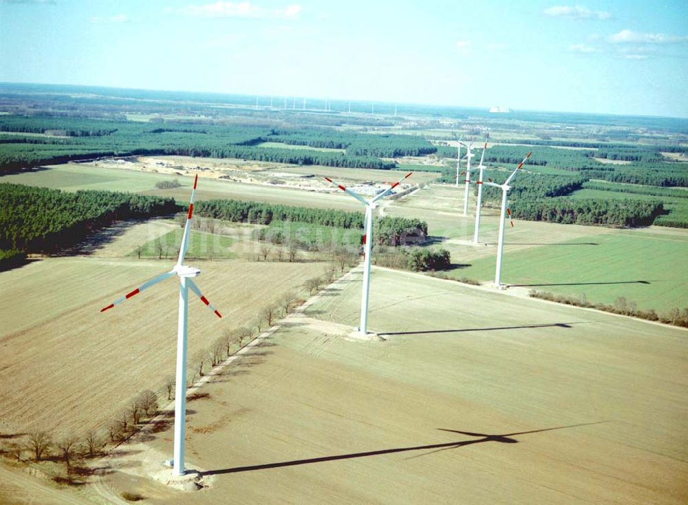 Duben / Brandenburg von oben - Windkraftpark Dubener Platte bei Duben in Brandenburg mit 19 Anlagen vom Typ MD 77