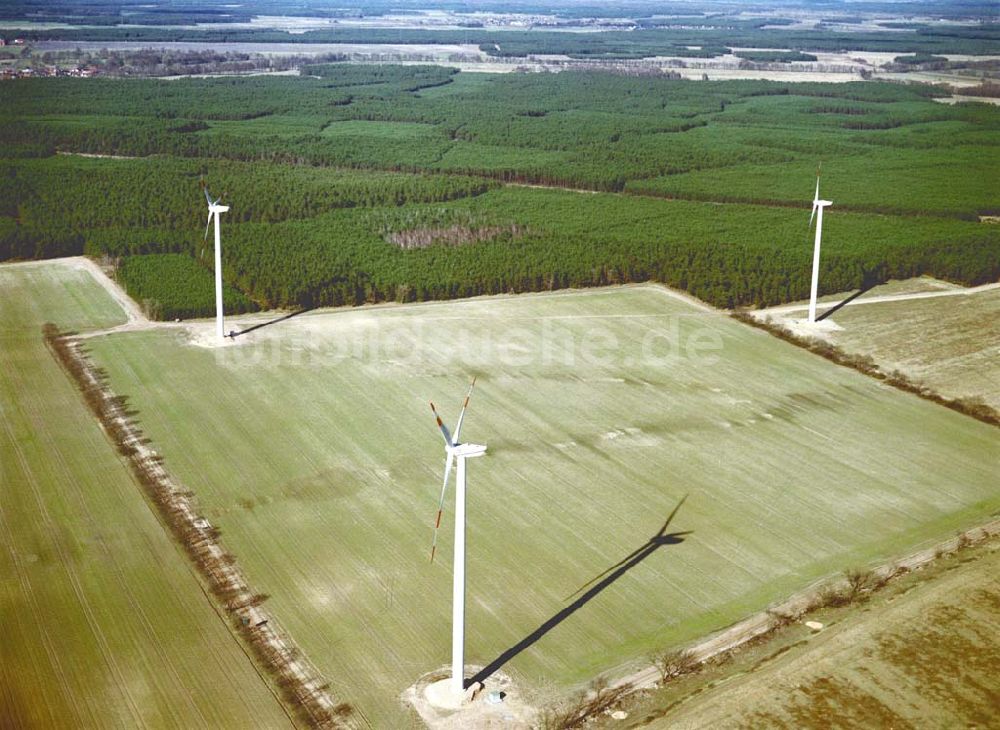 Duben / Brandenburg aus der Vogelperspektive: Windkraftpark Dubener Platte bei Duben in Brandenburg mit 19 Anlagen vom Typ MD 77