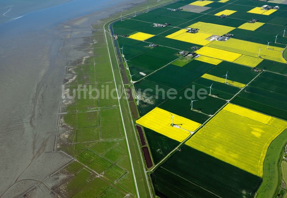 Luftaufnahme Niebüll - Windkrafträder an der Küste bei Niebüll im Kreis Nordfriesland im Bundesland Schleswig-Holstein