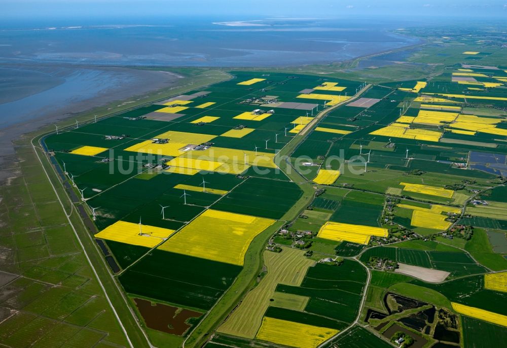 Niebüll von oben - Windkrafträder an der Küste bei Niebüll im Kreis Nordfriesland im Bundesland Schleswig-Holstein