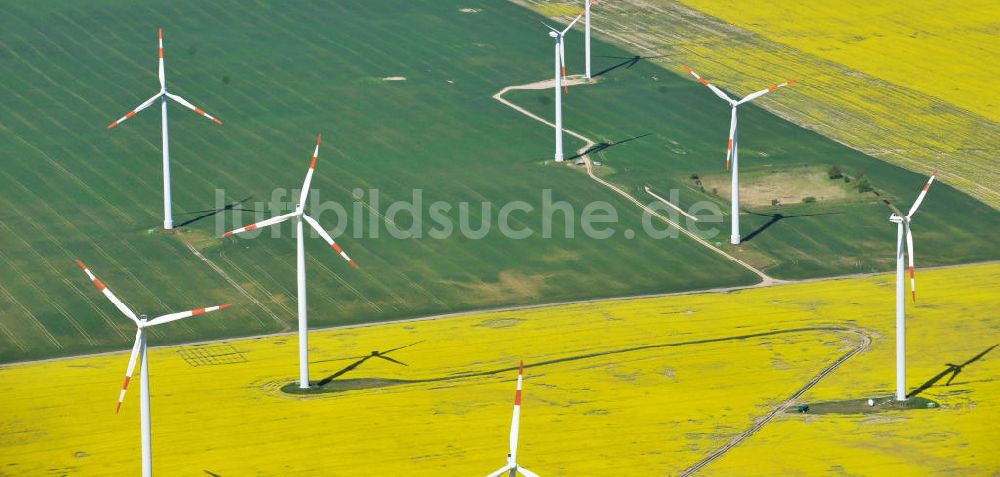 Luftaufnahme Werneuchen - Windräder auf blühenden Rapsfeldern bei Werneuchen