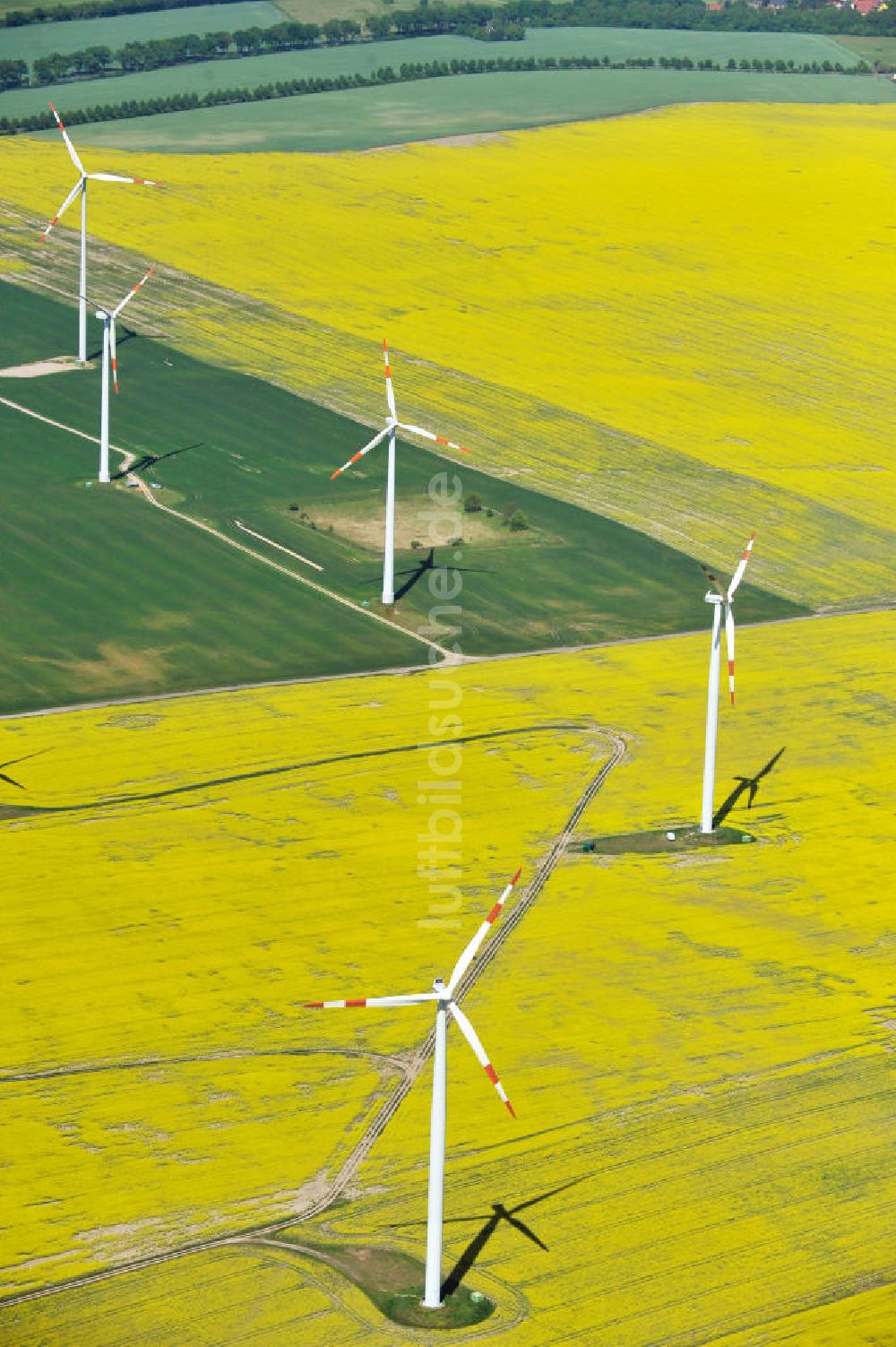 Werneuchen von oben - Windräder auf blühenden Rapsfeldern bei Werneuchen