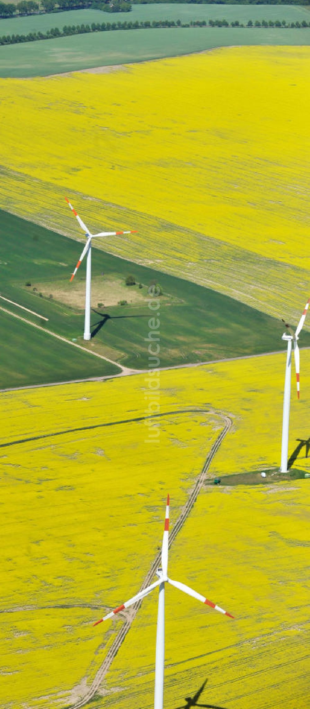 Werneuchen aus der Vogelperspektive: Windräder auf blühenden Rapsfeldern bei Werneuchen