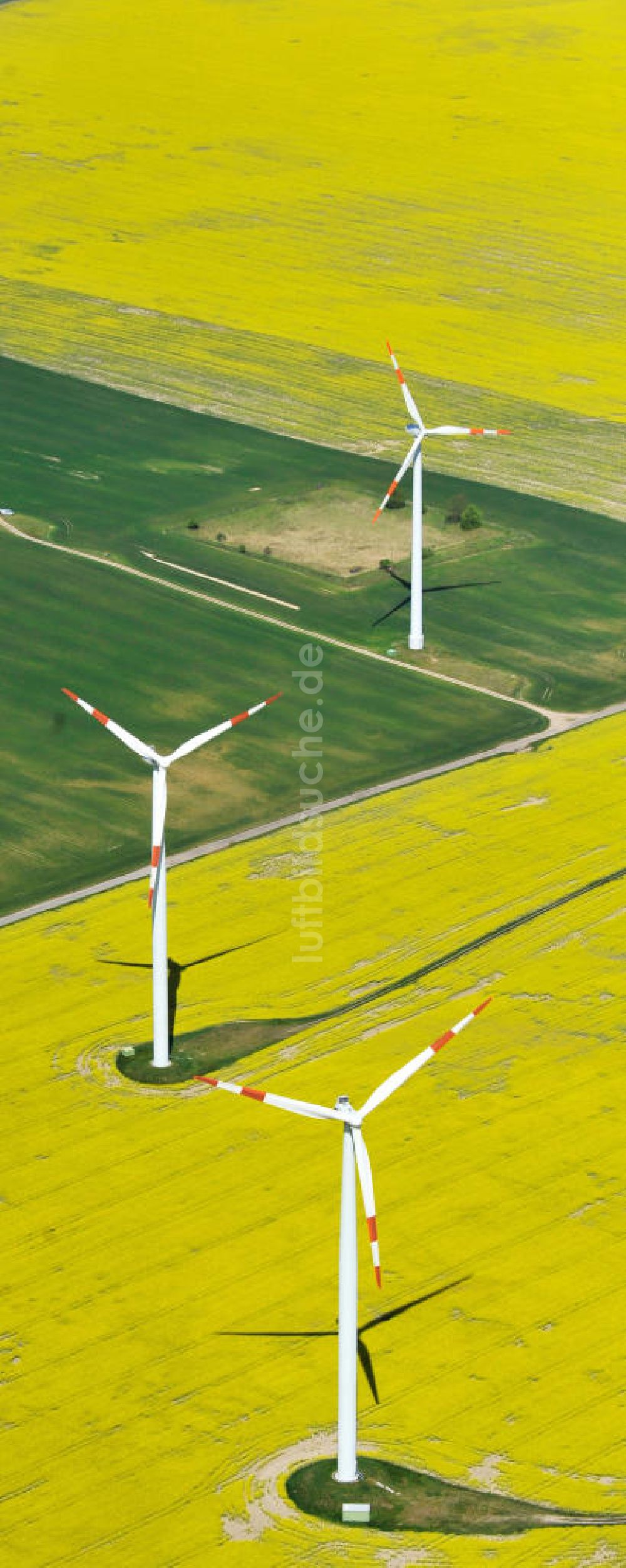 Werneuchen von oben - Windräder auf blühenden Rapsfeldern bei Werneuchen