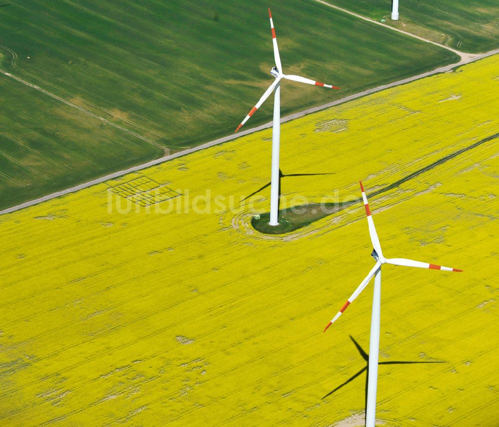 Werneuchen aus der Vogelperspektive: Windräder auf blühenden Rapsfeldern bei Werneuchen