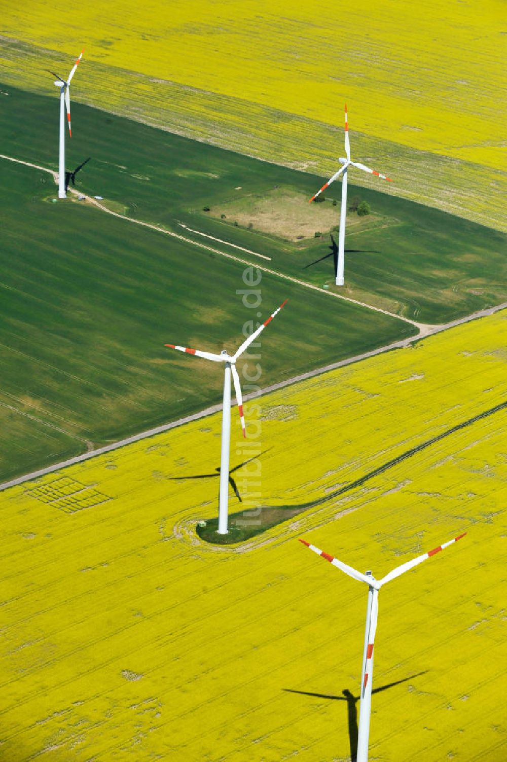 Luftbild Werneuchen - Windräder auf blühenden Rapsfeldern bei Werneuchen