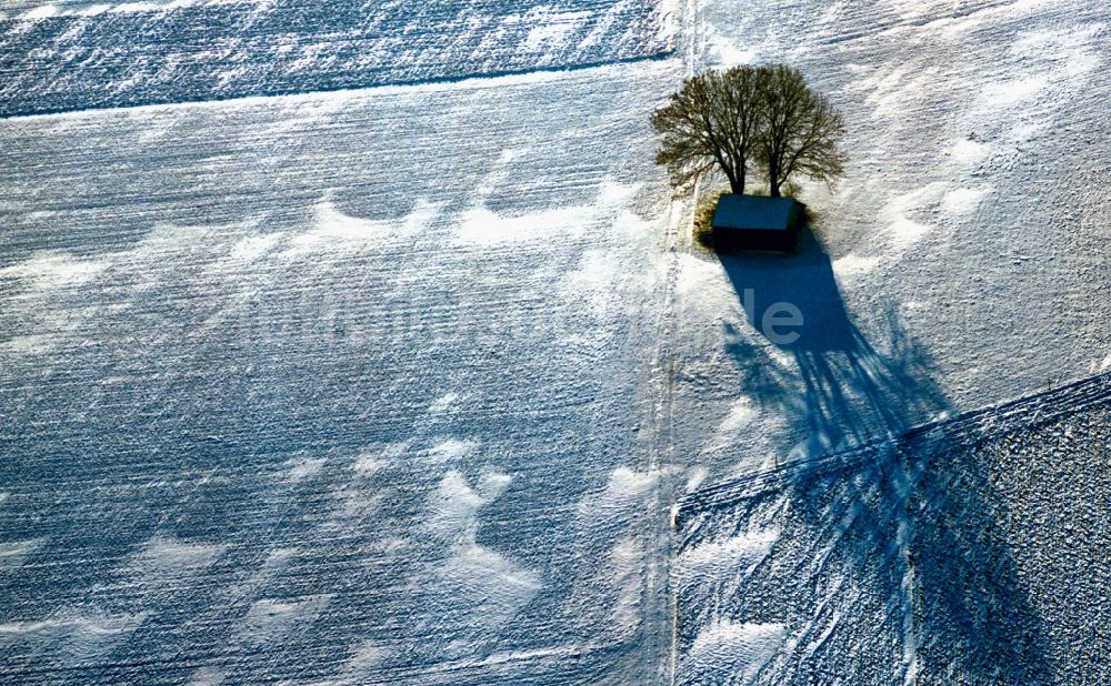 Luftaufnahme Würzburg - Winter - Landschaft mit Bäumen im Schnee Feld am Stadtrand von Würzburg im Bundesland Bayern