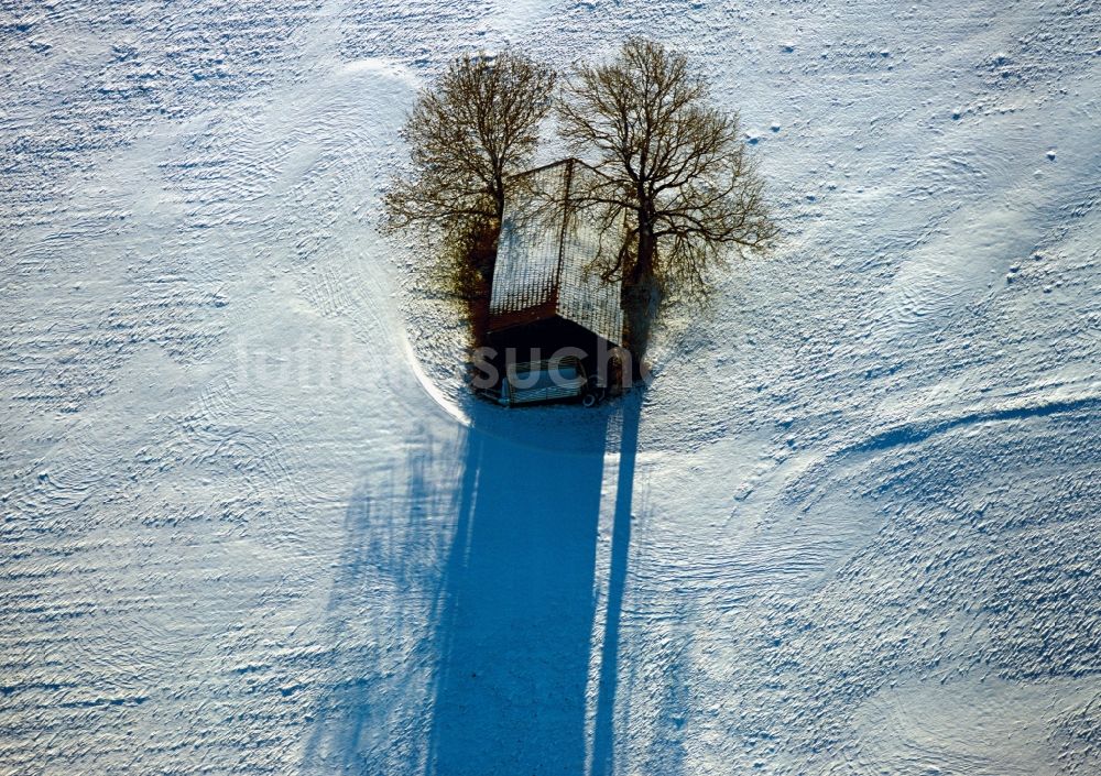 Würzburg von oben - Winter - Landschaft mit Bäumen im Schnee Feld am Stadtrand von Würzburg im Bundesland Bayern