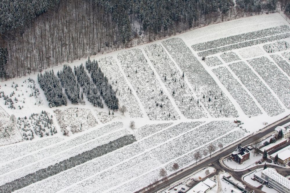 Luftbild Arnsberg - Winter- Landschaft der Reihen der Schonung einer Baumschule bei Arnsberg im Bundesland Nordrhein-Westfalen NRW