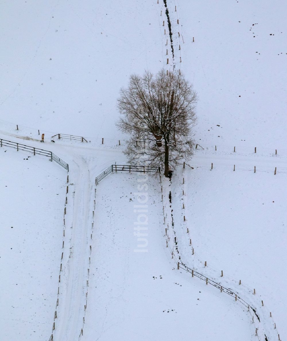 Hamm aus der Vogelperspektive: Winter - Landschaft am Stadtrand von Hamm im Bundesland Nordrhein-Westfalen