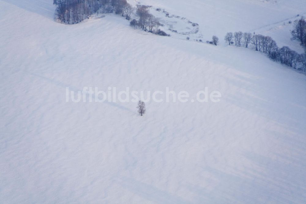 Luftaufnahme Tutow - Winterlandschaft 4