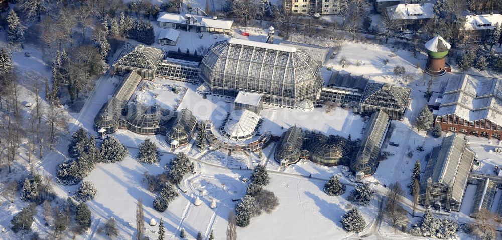 Luftaufnahme Berlin - Winterlandschaft des Botanischen Garten Berlin-Dahlem.