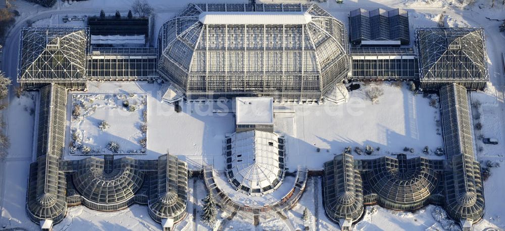 Berlin von oben - Winterlandschaft des Botanischen Garten Berlin-Dahlem.