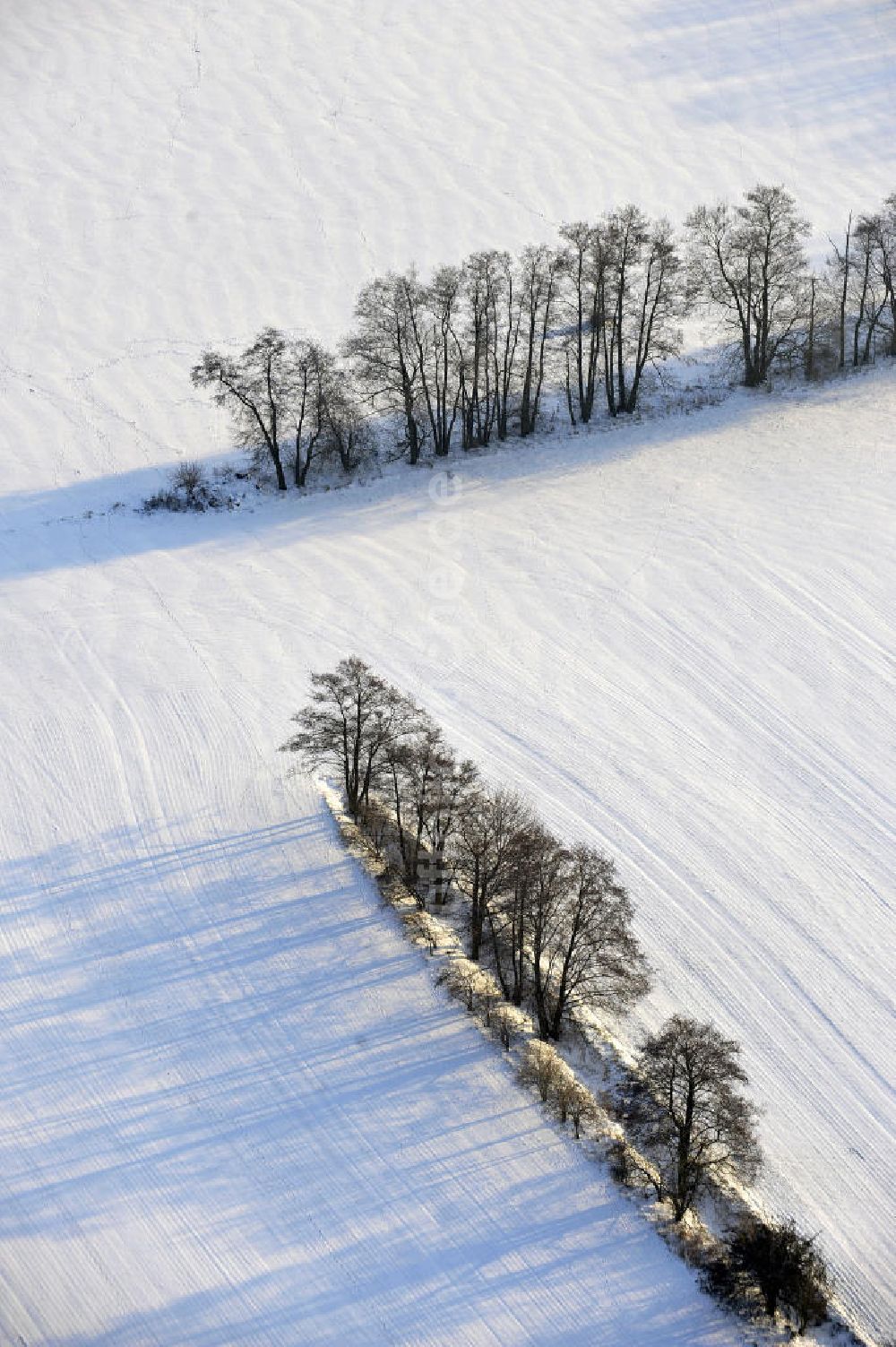 Luftbild Frankenfelde - Winterlandschaft im Bundesland Brandenburg