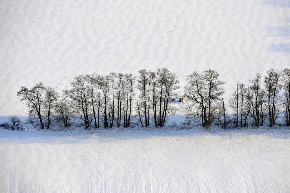 Luftaufnahme Frankenfelde - Winterlandschaft im Bundesland Brandenburg