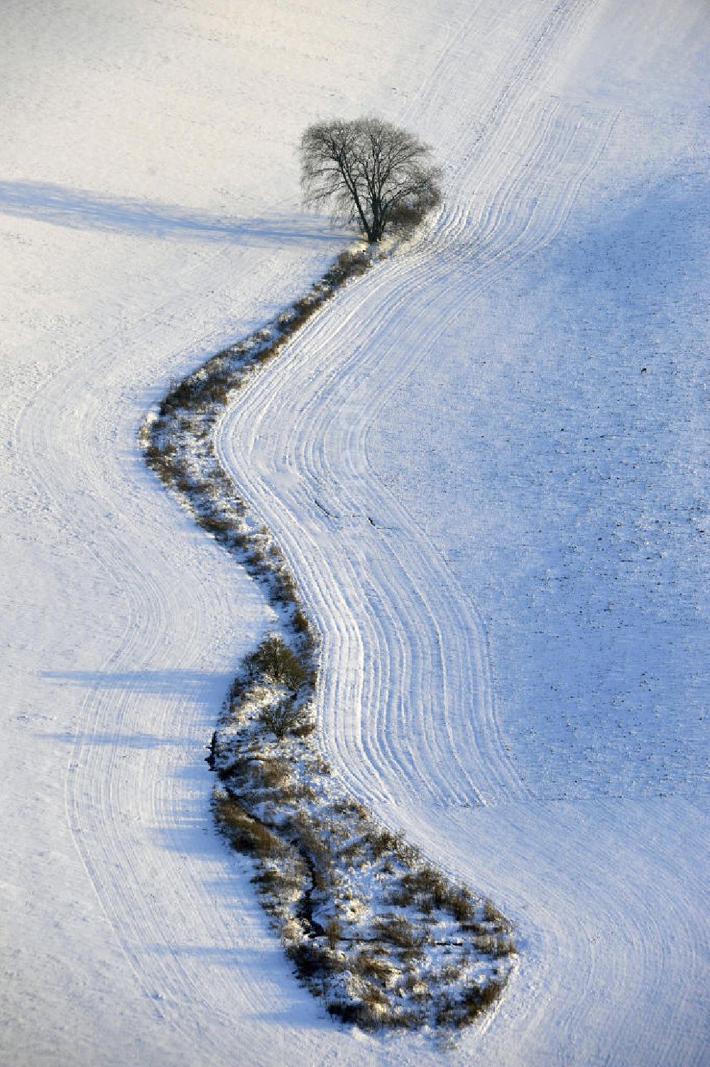 Frankenfelde aus der Vogelperspektive: Winterlandschaft im Bundesland Brandenburg