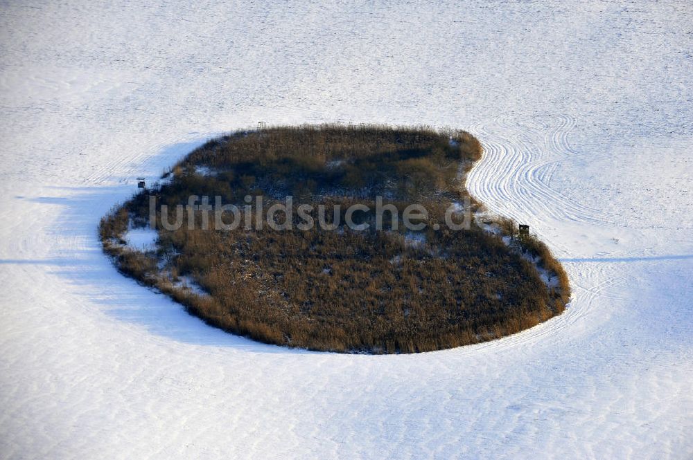 Luftbild Frankenfelde - Winterlandschaft im Bundesland Brandenburg