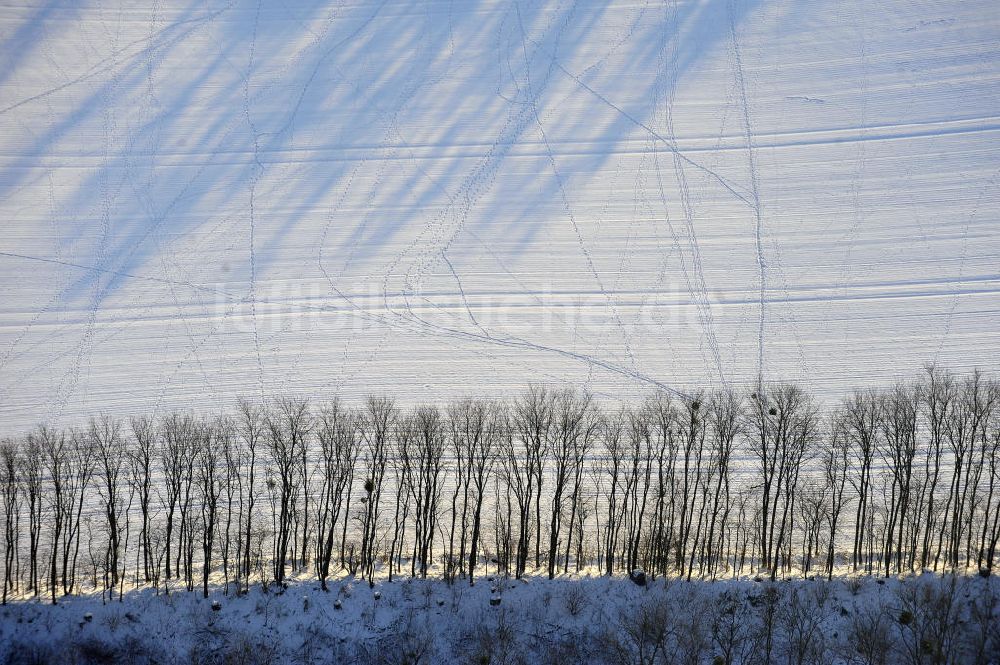 Frankenfelde aus der Vogelperspektive: Winterlandschaft im Bundesland Brandenburg