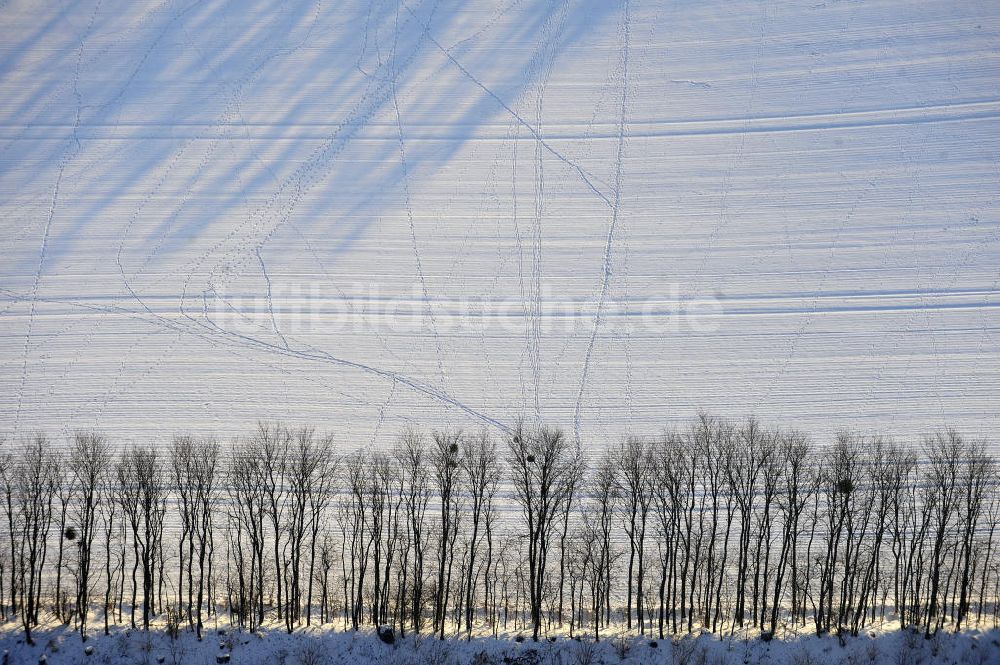 Luftbild Frankenfelde - Winterlandschaft im Bundesland Brandenburg