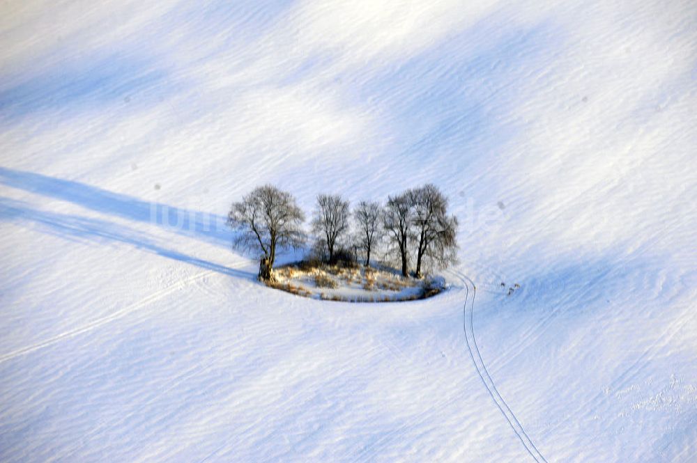 Luftaufnahme Frankenfelde - Winterlandschaft im Bundesland Brandenburg