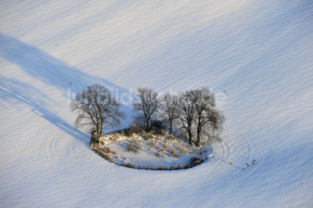 Frankenfelde von oben - Winterlandschaft im Bundesland Brandenburg