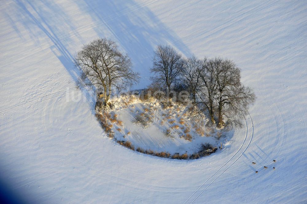 Frankenfelde aus der Vogelperspektive: Winterlandschaft im Bundesland Brandenburg